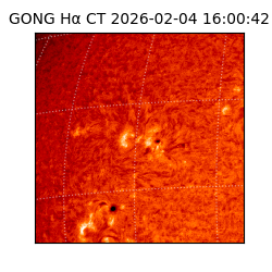 gong - 2026-02-04T16:00:42