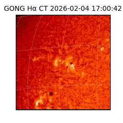 gong - 2026-02-04T17:00:42