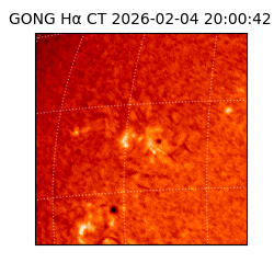 gong - 2026-02-04T20:00:42