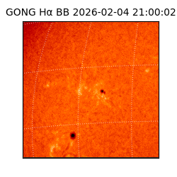 gong - 2026-02-04T21:00:02