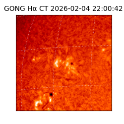 gong - 2026-02-04T22:00:42