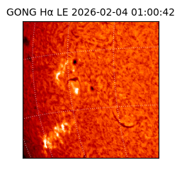 gong - 2026-02-04T01:00:42