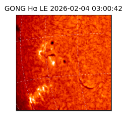 gong - 2026-02-04T03:00:42