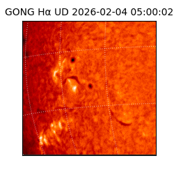 gong - 2026-02-04T05:00:02