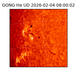 gong - 2026-02-04T08:00:02