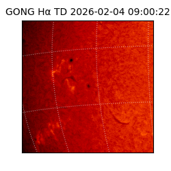 gong - 2026-02-04T09:00:22