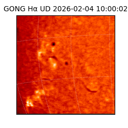 gong - 2026-02-04T10:00:02