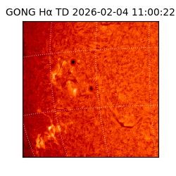 gong - 2026-02-04T11:00:22