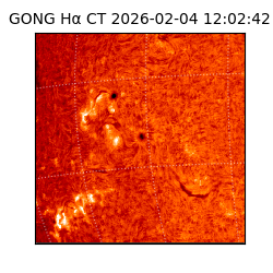gong - 2026-02-04T12:02:42