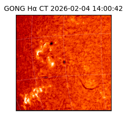 gong - 2026-02-04T14:00:42