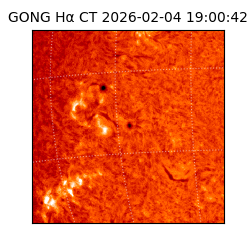 gong - 2026-02-04T19:00:42