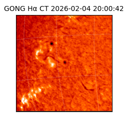 gong - 2026-02-04T20:00:42