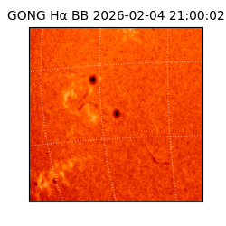 gong - 2026-02-04T21:00:02