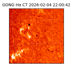 gong - 2026-02-04T22:00:42