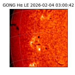 gong - 2026-02-04T03:00:42