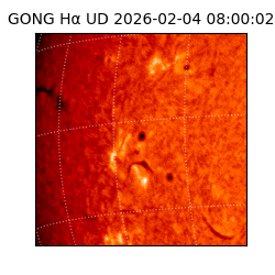 gong - 2026-02-04T08:00:02