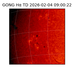 gong - 2026-02-04T09:00:22