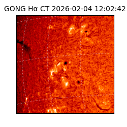gong - 2026-02-04T12:02:42