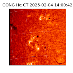 gong - 2026-02-04T14:00:42