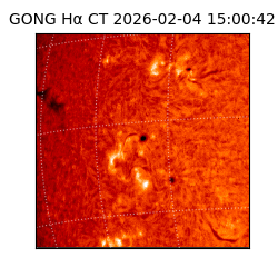 gong - 2026-02-04T15:00:42