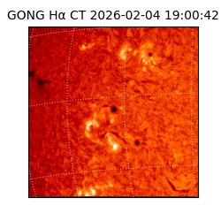 gong - 2026-02-04T19:00:42
