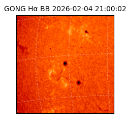 gong - 2026-02-04T21:00:02