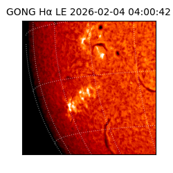 gong - 2026-02-04T04:00:42