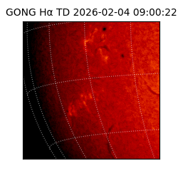 gong - 2026-02-04T09:00:22