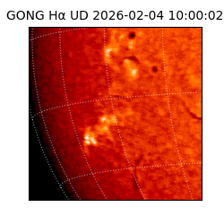 gong - 2026-02-04T10:00:02