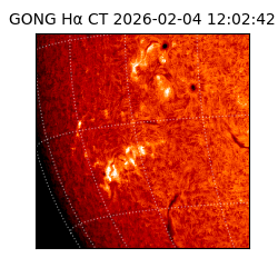gong - 2026-02-04T12:02:42