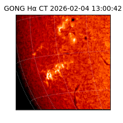 gong - 2026-02-04T13:00:42