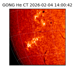 gong - 2026-02-04T14:00:42