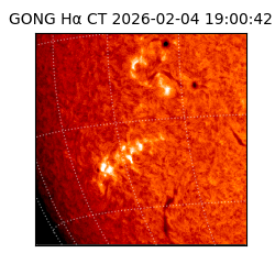 gong - 2026-02-04T19:00:42