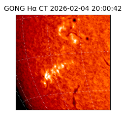 gong - 2026-02-04T20:00:42