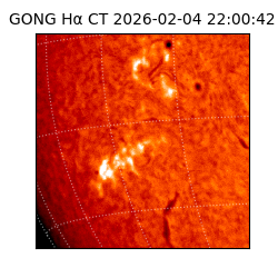 gong - 2026-02-04T22:00:42