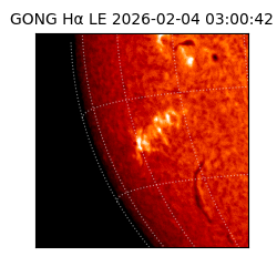 gong - 2026-02-04T03:00:42
