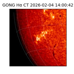 gong - 2026-02-04T14:00:42