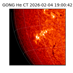gong - 2026-02-04T19:00:42