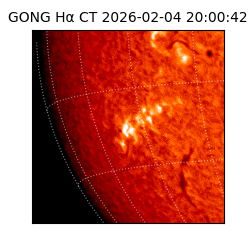 gong - 2026-02-04T20:00:42