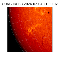 gong - 2026-02-04T21:00:02