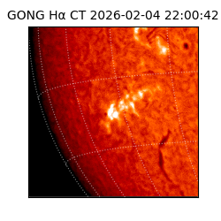gong - 2026-02-04T22:00:42
