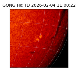 gong - 2026-02-04T11:00:22