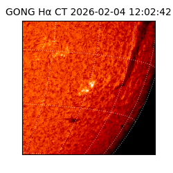 gong - 2026-02-04T12:02:42
