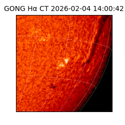gong - 2026-02-04T14:00:42