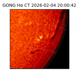 gong - 2026-02-04T20:00:42