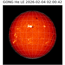gong - 2026-02-04T02:00:42