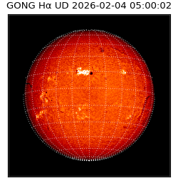 gong - 2026-02-04T05:00:02