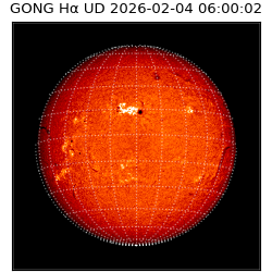 gong - 2026-02-04T06:00:02
