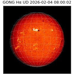 gong - 2026-02-04T08:00:02