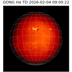 gong - 2026-02-04T09:00:22